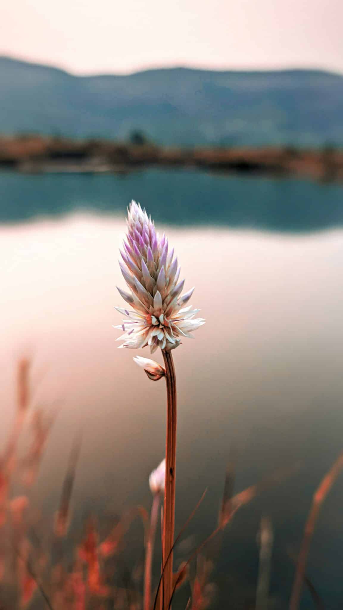 Sikh Baby Names & Meanings